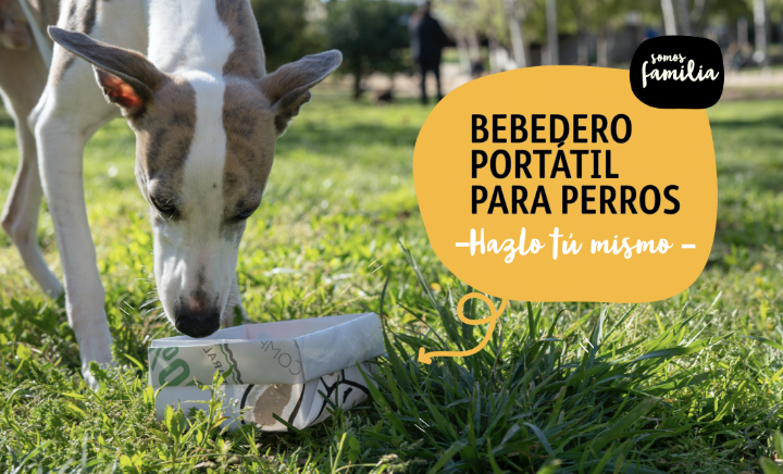bebedero portátil para tu perro