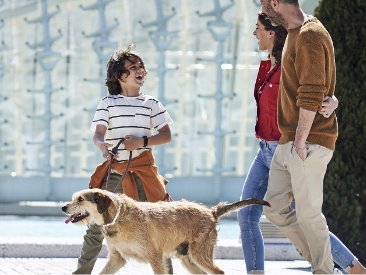 Síntomas, tratamiento y prevención de Leishmaniosis canina