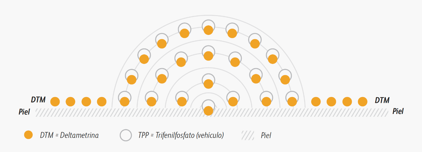 Scalibor® Cómo funcionan el DTM y el TPP (Principio Activo) en la piel de la mascota