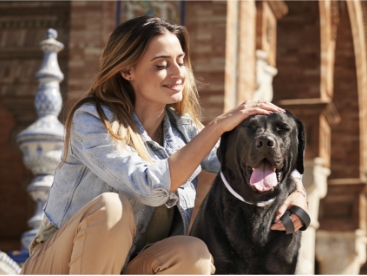 como usar collar Scalibor